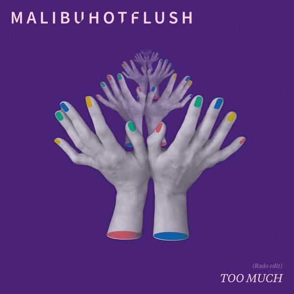 Cover art for Too Much (Radio Edit)